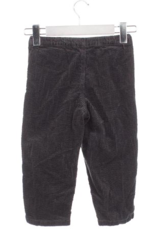 Kinderhose Next, Größe 3-4y/ 104-110 cm, Farbe Grau, Preis € 37,99