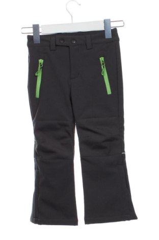 Pantaloni pentru copii pentru sporturi de iarnă Crane, Mărime 2-3y/ 98-104 cm, Culoare Gri, Preț 154,57 Lei