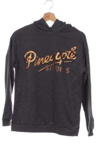 Детски суитшърт Pineapple, Размер 13-14y/ 164-168 см, Цвят Сив, Цена 11,75 €