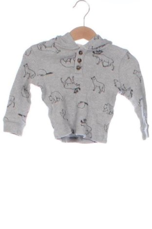 Dziecięca bluza Tucker Tate, Rozmiar 3-6m/ 62-68 cm, Kolor Kolorowy, Cena 63,00 zł