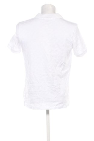 Herren Shirt Felix Hardy, Größe L, Farbe Weiß, Preis 61,99 €
