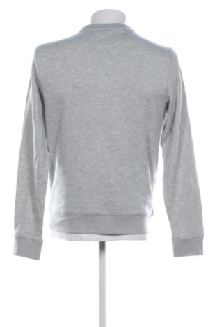 Herren Shirt Terranova, Größe M, Farbe Grau, Preis € 12,99