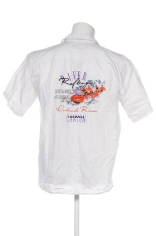 Cămașă de bărbați Grand, Mărime M, Culoare Multicolor, Preț 91,99 Lei