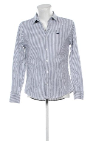 Herrenhemd Hollister, Größe M, Farbe Mehrfarbig, Preis € 22,99