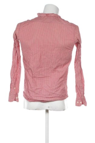 Herrenhemd Sfera, Größe S, Farbe Mehrfarbig, Preis 14,77 €