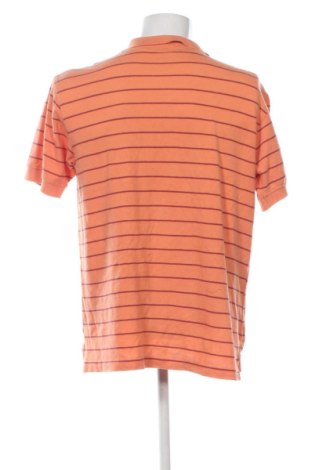 Tricou de bărbați Canyon, Mărime L, Culoare Multicolor, Preț 63,99 Lei