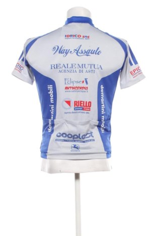 Herren T-Shirt Giordana, Größe L, Farbe Mehrfarbig, Preis € 8,99