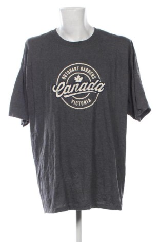 Pánske tričko  M&O, Veľkosť XXL, Farba Sivá, Cena  11,95 €