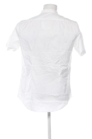 Ανδρικό t-shirt Zara, Μέγεθος L, Χρώμα Λευκό, Τιμή 8,00 €