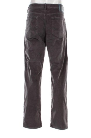 Herren Cordhose Pierre Cardin, Größe XL, Farbe Grau, Preis 34,71 €