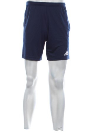 Herren Shorts Adidas, Größe S, Farbe Blau, Preis 51,99 €