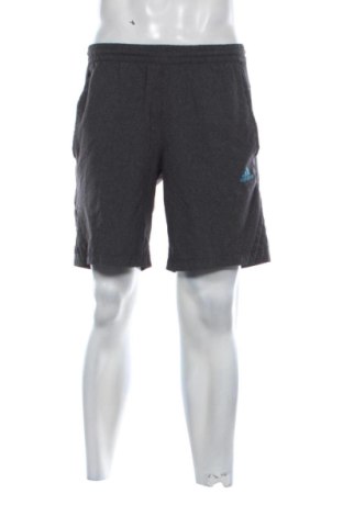 Herren Shorts Adidas, Größe M, Farbe Grau, Preis € 22,99