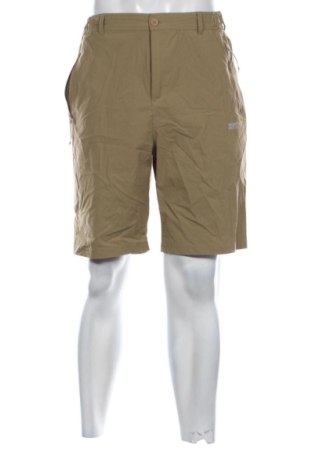 Herren Shorts Regatta, Größe L, Farbe Beige, Preis 22,99 €