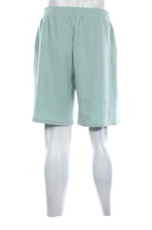 Herren Shorts SHEIN, Größe L, Farbe Grün, Preis € 19,99