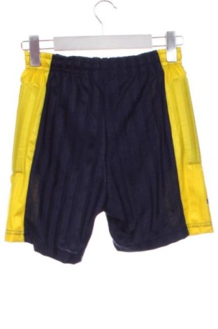 Ανδρικό κοντό παντελόνι Unbranded, Μέγεθος XS, Χρώμα Πολύχρωμο, Τιμή 15,00 €