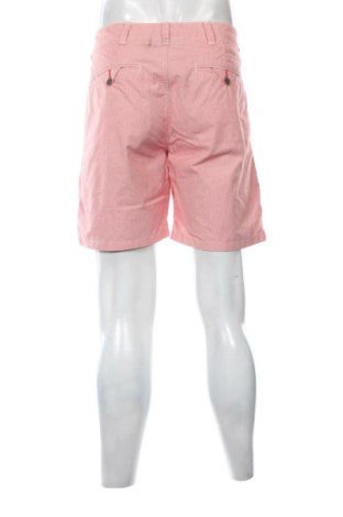 Herren Shorts Zara, Größe L, Farbe Mehrfarbig, Preis 13,99 €