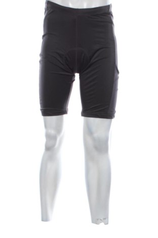 Pánske legíny  Crane, Veľkosť L, Farba Sivá, Cena  21,95 €