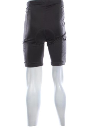 Pánske legíny  Crane, Veľkosť L, Farba Sivá, Cena  21,95 €