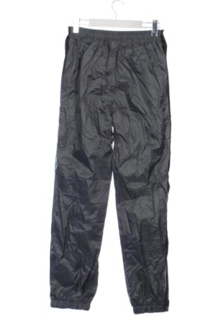 Męskie spodnie Crivit, Rozmiar XS, Kolor Szary, Cena 104,99 zł