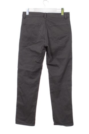 Herrenhose Massimo Dutti, Größe S, Farbe Grau, Preis 34,72 €