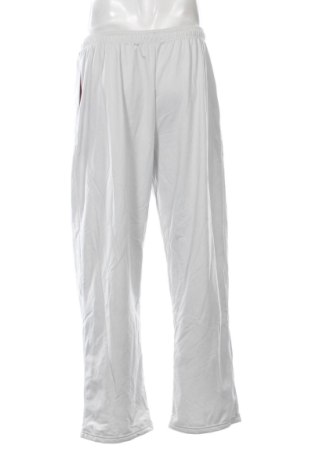Herrenhose Unbranded, Größe M, Farbe Silber, Preis € 26,99