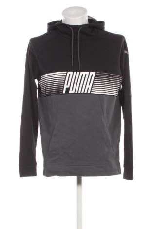 Herren Sweatshirt PUMA, Größe L, Farbe Mehrfarbig, Preis 36,99 €
