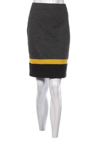 Φούστα Daphne, Μέγεθος L, Χρώμα Γκρί, Τιμή 21,00 €