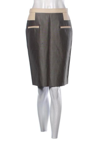 Fustă Deni Cler, Mărime S, Culoare Multicolor, Preț 146,91 Lei