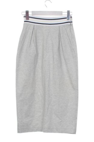 Fustă Fabiana Filippi, Mărime XS, Culoare Gri, Preț 804,99 Lei