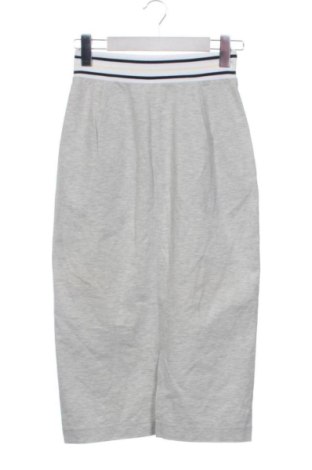 Fustă Fabiana Filippi, Mărime XS, Culoare Gri, Preț 804,99 Lei