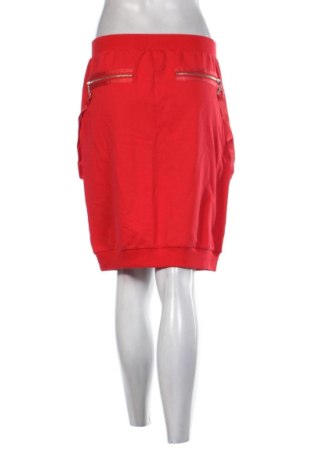 Fustă Megi, Mărime L, Culoare Roșu, Preț 27,24 Lei