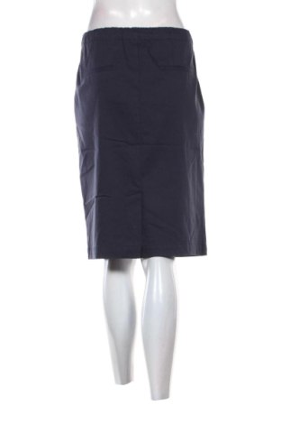 Sukňa Peter Hahn, Veľkosť XL, Farba Modrá, Cena  33,95 €