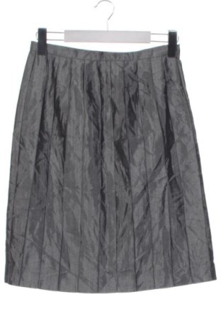 Rock Philosophy Di Alberta Ferretti, Größe XS, Farbe Grau, Preis € 82,99