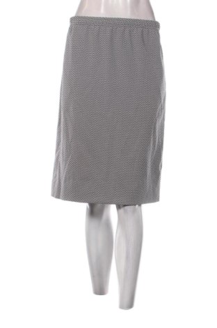 Sukňa Unbranded, Veľkosť L, Farba Viacfarebná, Cena  13,95 €