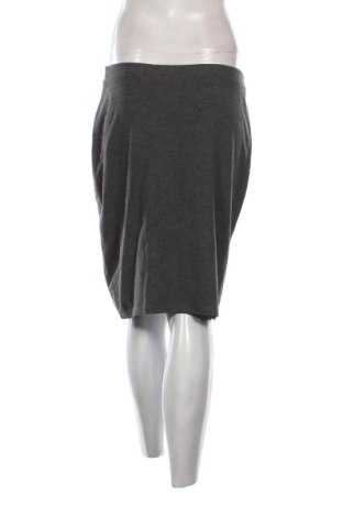 Fustă Unbranded, Mărime L, Culoare Gri, Preț 50,59 Lei