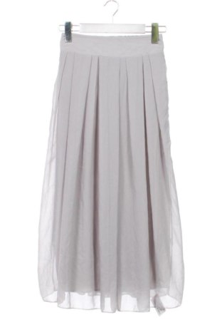 Sukně Unbranded, Velikost XS, Barva Šedá, Cena  332,00 Kč