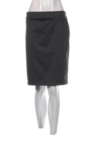 Fustă Xenia Diva, Mărime XXL, Culoare Gri, Preț 109,48 Lei