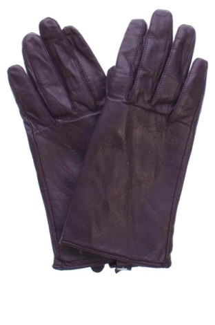 Rukavice  Galitzine, Farba Fialová, Cena  20,95 €