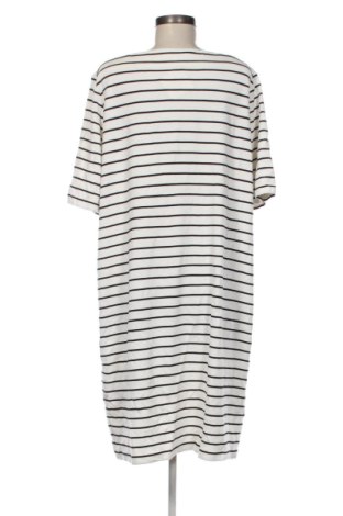 Kleid Bonita, Größe XL, Farbe Mehrfarbig, Preis € 12,99