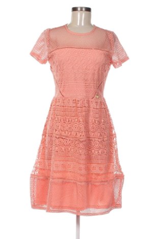 Φόρεμα Chiara Forthi, Μέγεθος M, Χρώμα Ρόζ , Τιμή 50,99 €