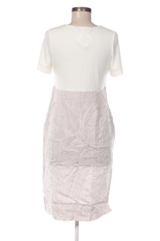 Šaty  Daniel & Mayer, Velikost XL, Barva Vícebarevné, Cena  729,00 Kč