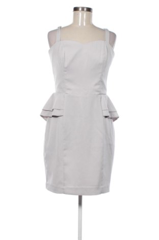 Rochie H&M, Mărime L, Culoare Gri, Preț 144,00 Lei