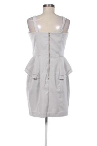 Rochie H&M, Mărime L, Culoare Gri, Preț 144,00 Lei