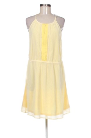 Φόρεμα In Extenso, Μέγεθος XL, Χρώμα Πολύχρωμο, Τιμή 19,94 €