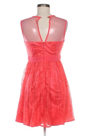 Kleid New Look, Größe M, Farbe Rot, Preis € 29,67