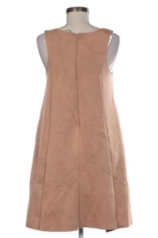 Kleid Pois, Größe XL, Farbe Braun, Preis 11,32 €