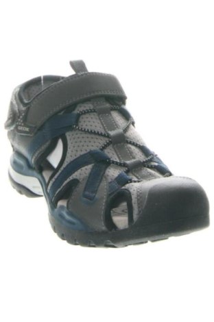 Sandalen Geox, Größe 41, Farbe Mehrfarbig, Preis € 63,97