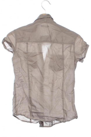 Γυναικείο πουκάμισο Terranova, Μέγεθος XS, Χρώμα Καφέ, Τιμή 1,99 €