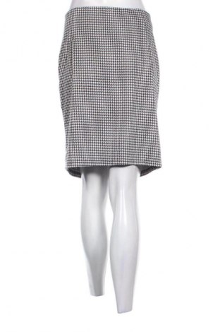 Φούστα Janina, Μέγεθος XL, Χρώμα Πολύχρωμο, Τιμή 0,99 €