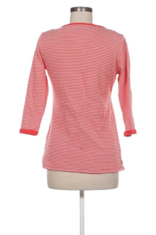 Damen Shirt 17 & Co., Größe M, Farbe Mehrfarbig, Preis 12,99 €
